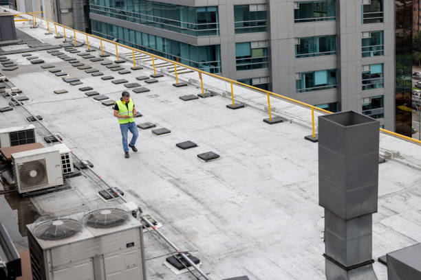 Best Roof Maintenance and Cleaning  in Dry Ridge, OH